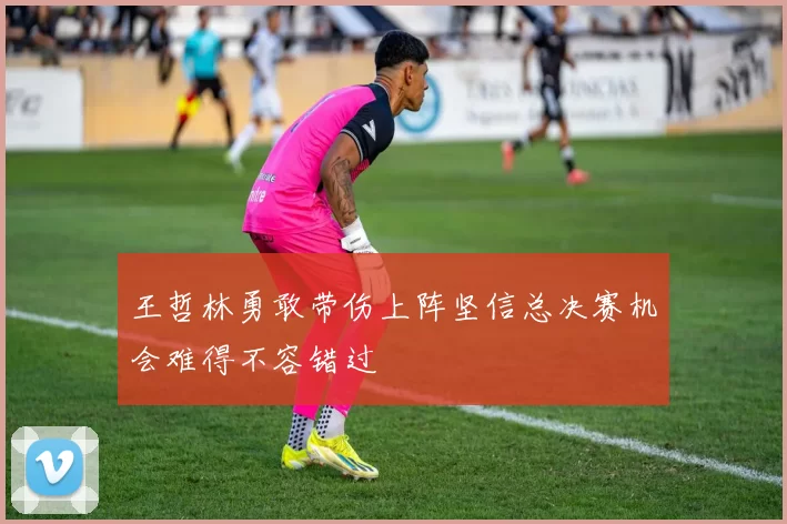 王哲林勇敢带伤上阵坚信总决赛机会难得不容错过